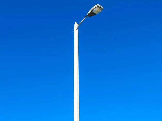 단일 암 신호대